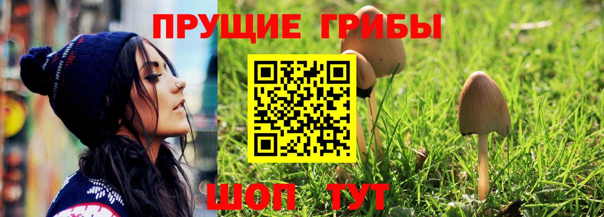 Псилоцибиновые грибы GOLDEN TEACHER Саратов