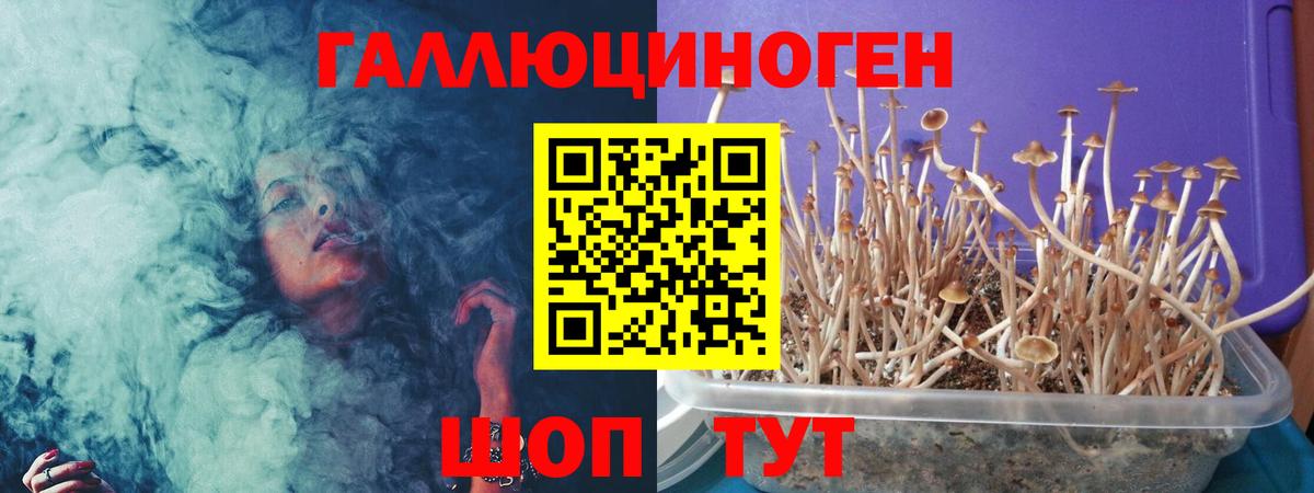 что такое   Вход с VPN  Саратов  Псилоцибиновые грибы MAGIC MUSHROOMS 